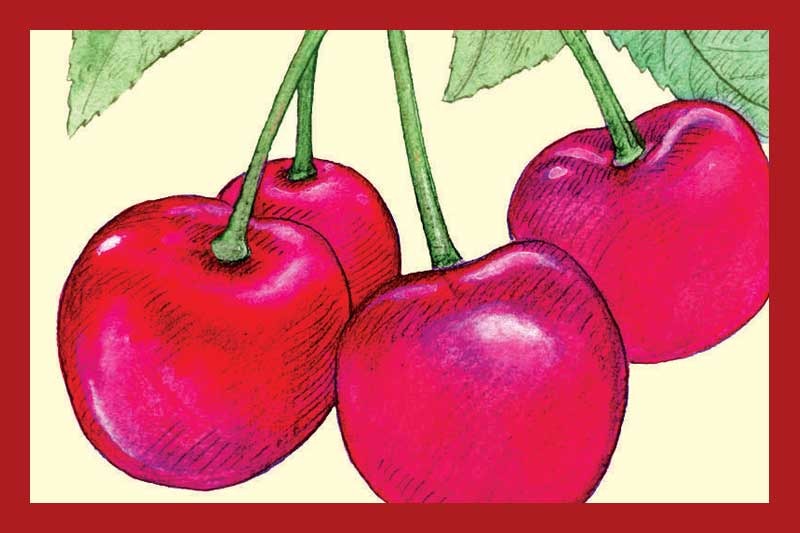 Black Cherry Balsamic Vinegar