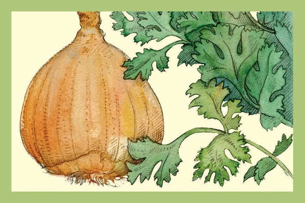 Cilantro & Roasted Onion Olive Oil