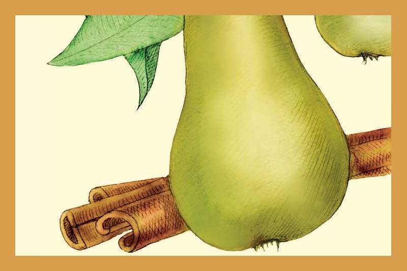 Cinnamon Pear Balsamic Vinegar