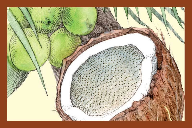 Coconut White Balsamic Vinegar