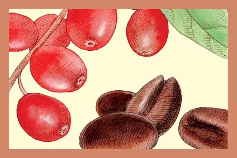 Espresso Balsamic Vinegar