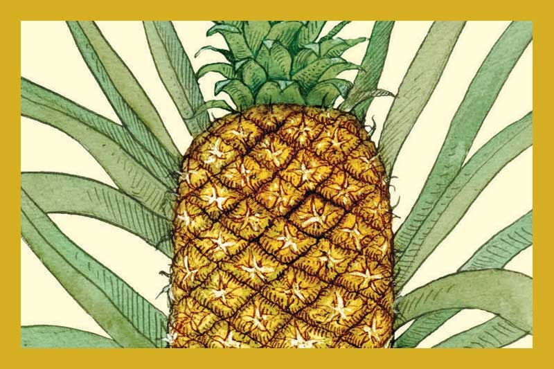 Golden Pineapple White Balsamic Vinegar