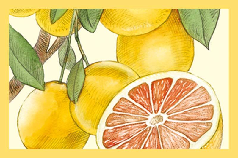 Grapefruit White Balsamic Vinegar