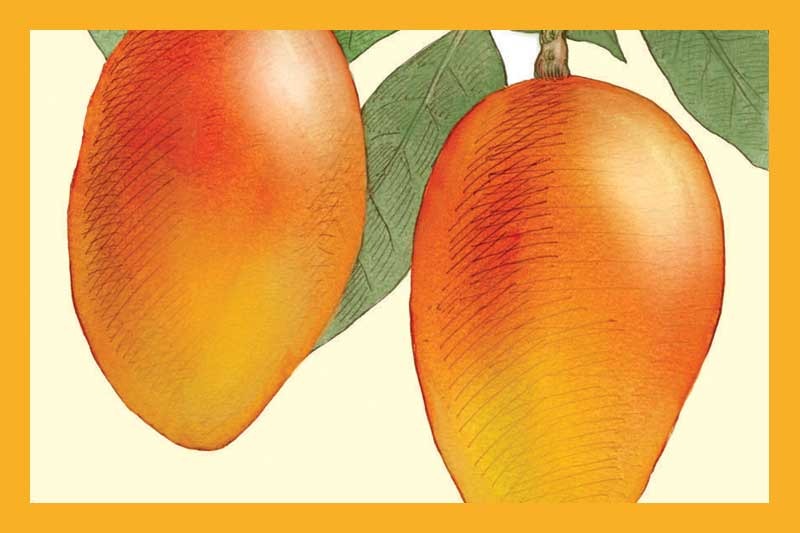 Mango White Balsamic Vinegar