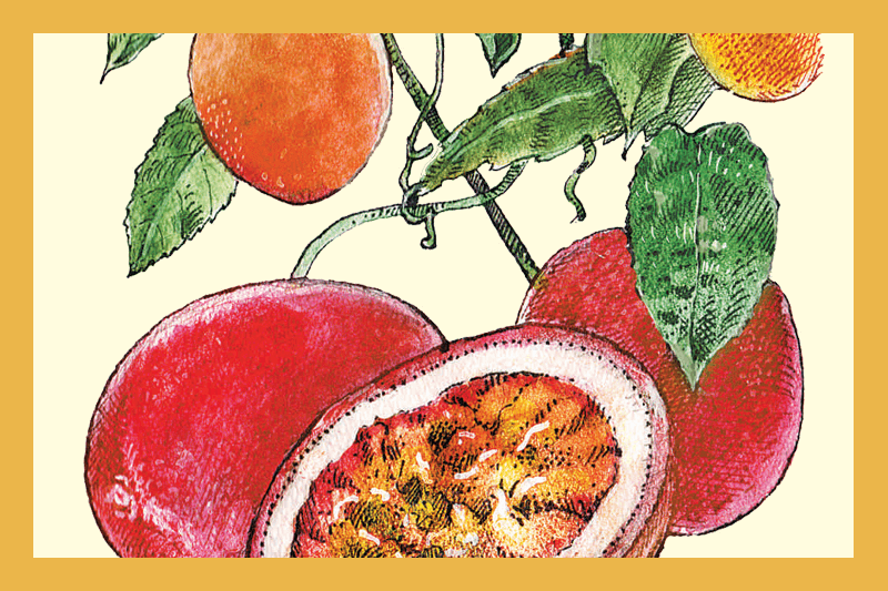 Passion Fruit Vinegar