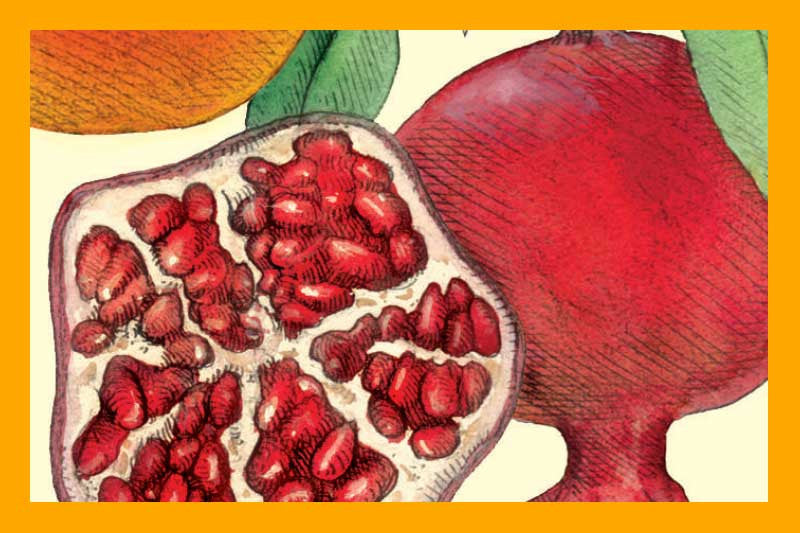 Pomegranate Quince White Balsamic Vinegar