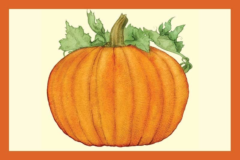 Pumpkin Spice White Balsamic Vinegar