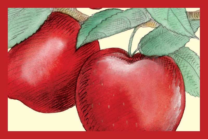 Red Apple Balsamic Vinegar