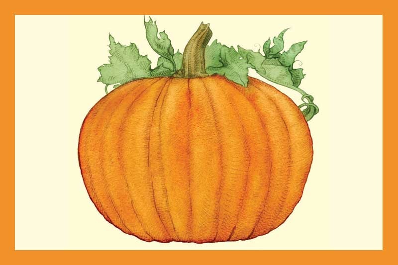 Roasted Pumpkin Seed Oil