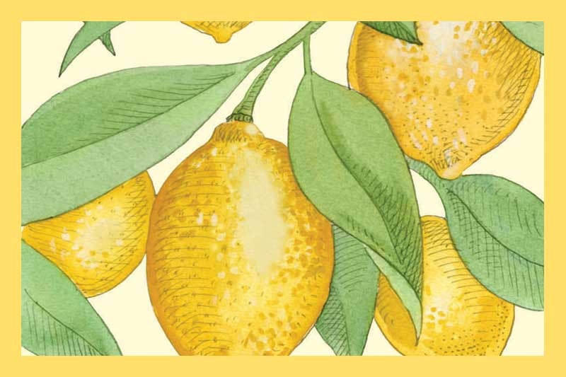 Sicilian Lemon White Balsamic Vinegar | The Classy Cruet
