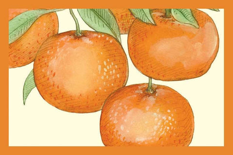 Tangerine Balsamic Vinegar