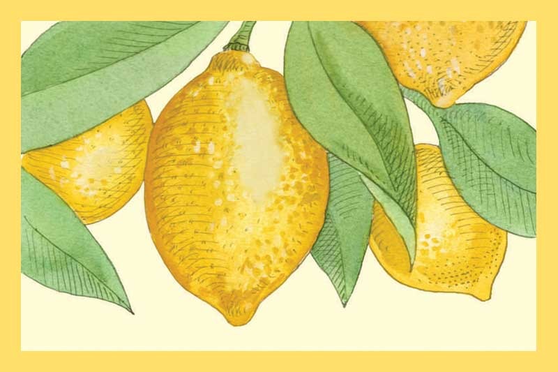 Whole Fruit Lemon Olive Oil