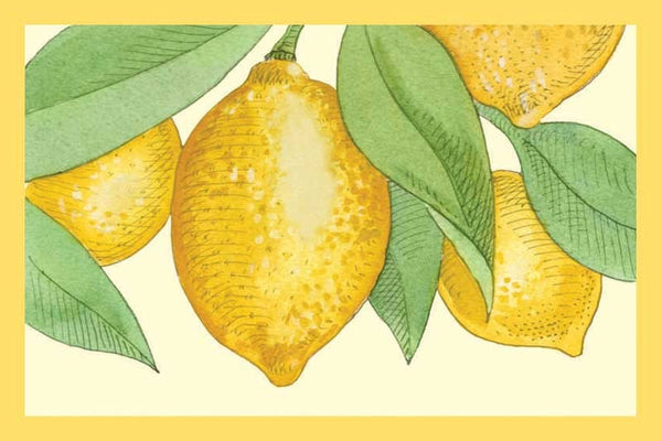 Whole Fruit Lemon Olive Oil